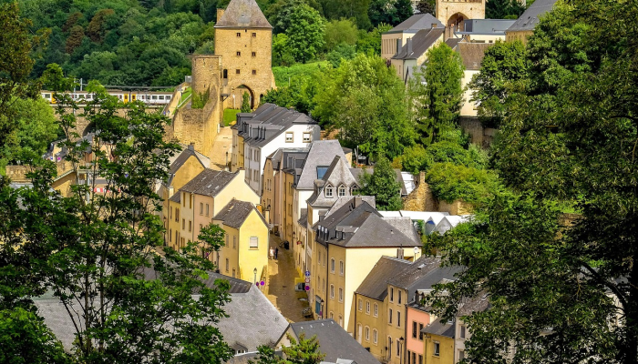 法国古堡最新疫情：感受文化与安全并存的完美平衡