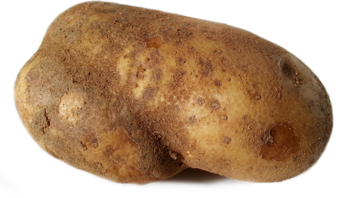 哈尔滨疫情最新信号：全面了解当下的健康动态