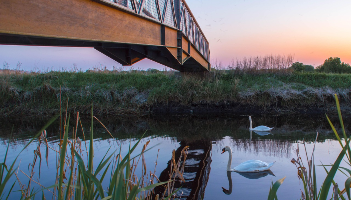 无锡鹅湖最新疫情消息:您需要了解的全面信息 无锡鹅湖最新疫情消息:您需要了解的全面信息