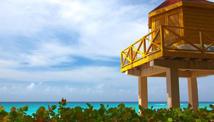 花都湖最新疫情：重新拥抱安全与健康的新生活