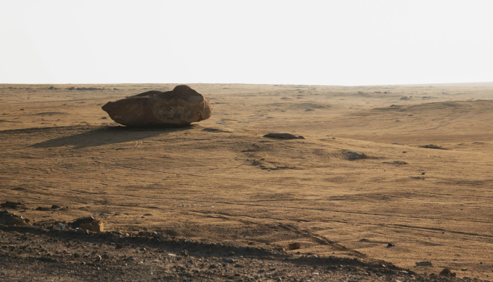 南澳区最新疫情：保护健康，共同战胜疫情