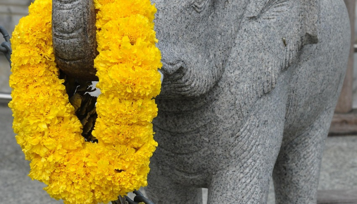 深圳最新疫情病例数据：全面了解最新动态，为您提供科学防疫指导