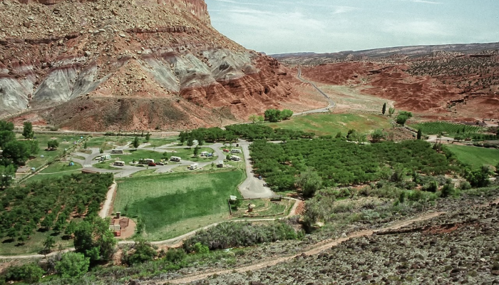 西安景区最新疫情政策：让您安心游览西安的古城