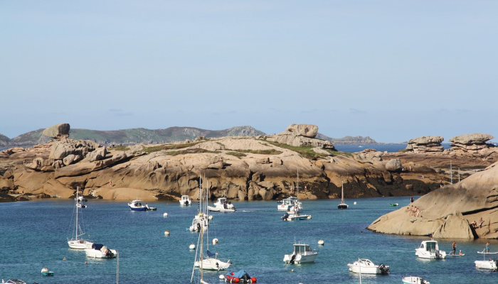 欧洲岛最新疫情：全球关注焦点