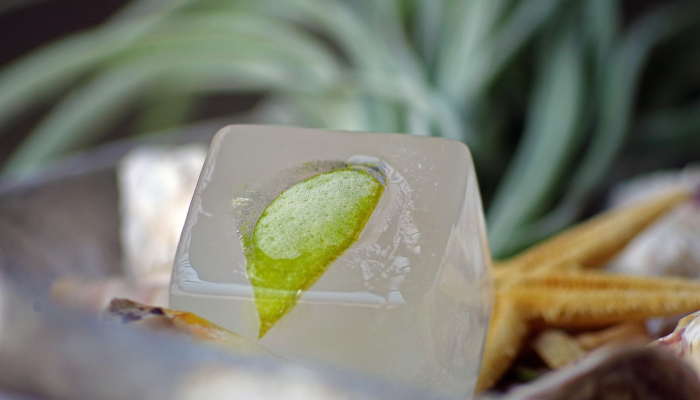 最新疫情小图标：助你轻松掌握全球疫情动态