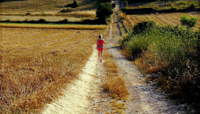 福州市仑山最新疫情：你需要知道的一切