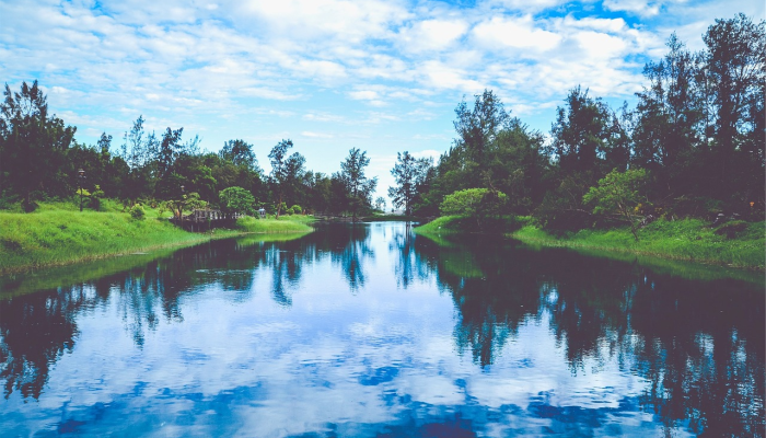 香港疫情最新早报：精准关注每日最新动态，为您带来权威信息
