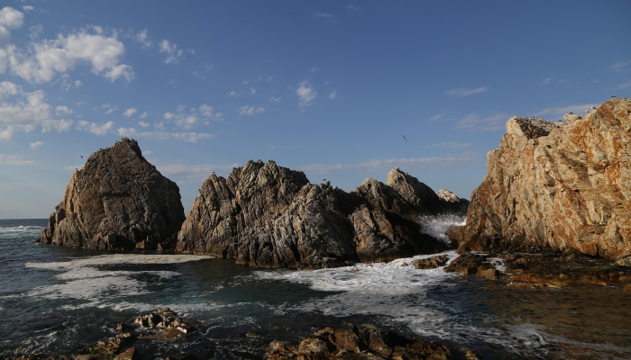 婺源最新疫情最新政策：保护您的健康，了解最新动态