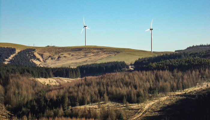 象州最新疫情消息：全面了解当前形势与防护措施