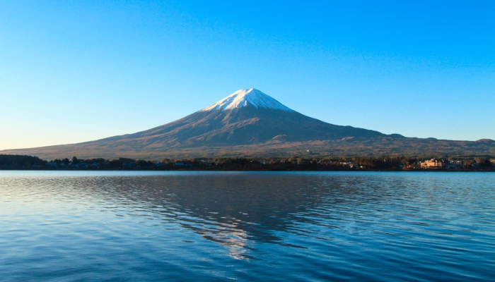 陆毅疫情最新通报微博：真实、详实、第一时间为你解读最新疫情动态