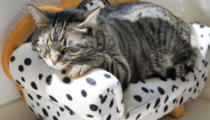 咸阳今日疫情动态最新