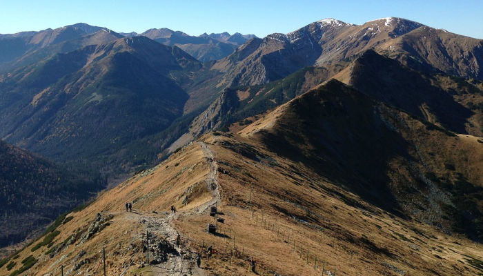 泰山摩崖疫情最新消息：山上平安，人心安
