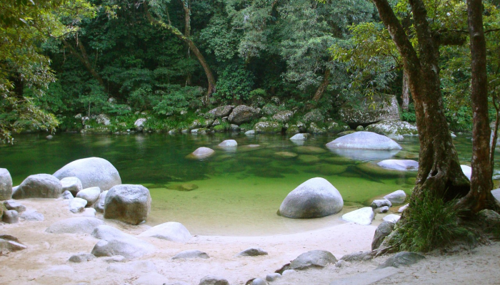 阳春松柏最新疫情：保护健康，共同抗疫