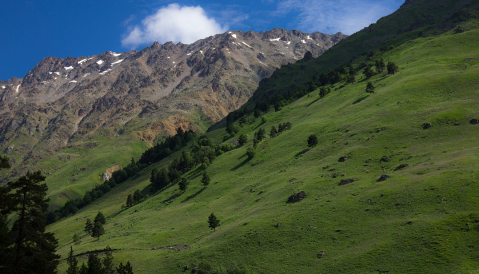 天鹿县最新疫情情况