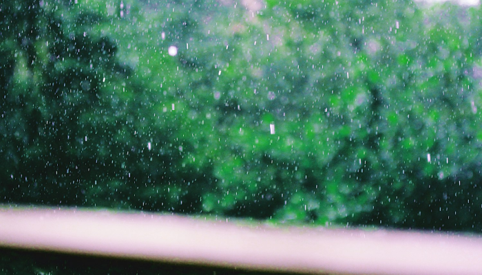 最新疫情病株：科学与智慧的双重防线