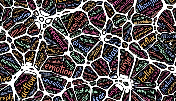 广西大新最新防疫情况：全面了解最新动态，为您保驾护航